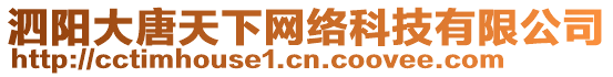 泗陽大唐天下網絡科技有限公司