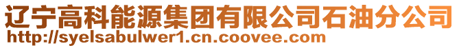 遼寧高科能源集團有限公司石油分公司
