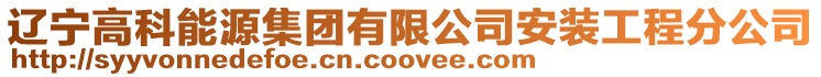 遼寧高科能源集團有限公司安裝工程分公司