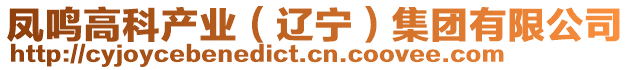 鳳鳴高科產(chǎn)業(yè)(遼寧)集團(tuán)有限公司