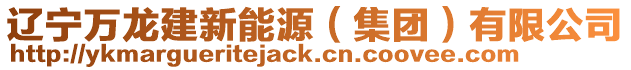 遼寧萬龍建新能源(集團(tuán))有限公司