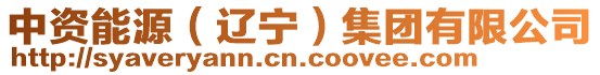 中資能源(遼寧)集團有限公司