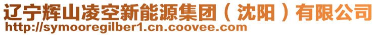 遼寧輝山凌空新能源集團(沈陽)有限公司