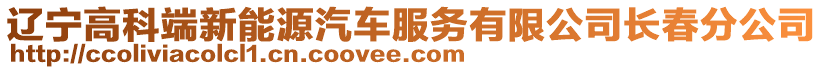 遼寧高科端新能源汽車服務有限公司長春分公司