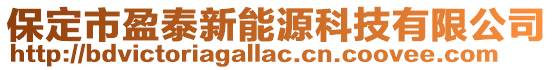 保定市盈泰新能源科技有限公司