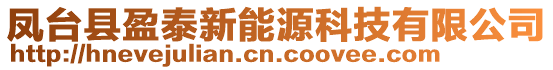 鳳臺(tái)縣盈泰新能源科技有限公司