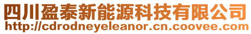 四川盈泰新能源科技有限公司