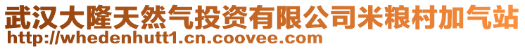 武漢大隆天然氣投資有限公司米糧村加氣站