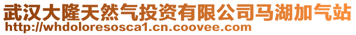 武漢大隆天然氣投資有限公司馬湖加氣站