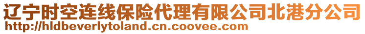 遼寧時空連線保險代理有限公司北港分公司