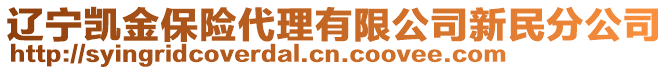 遼寧凱金保險代理有限公司新民分公司