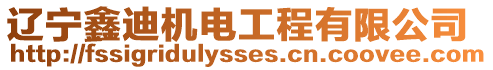 遼寧鑫迪機(jī)電工程有限公司