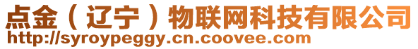 點(diǎn)金（遼寧）物聯(lián)網(wǎng)科技有限公司