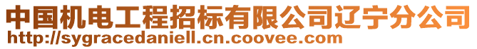 中國機電工程招標有限公司遼寧分公司