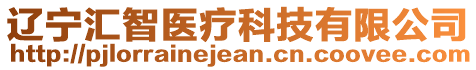 遼寧匯智醫(yī)療科技有限公司