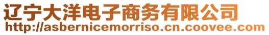 遼寧大洋電子商務有限公司