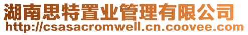 湖南思特置業管理有限公司