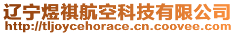 遼寧煜祺航空科技有限公司