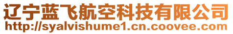 遼寧藍(lán)飛航空科技有限公司