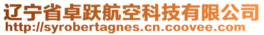 遼寧省卓躍航空科技有限公司