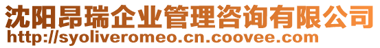 沈陽昂瑞企業管理咨詢有限公司