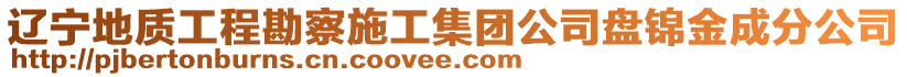 辽宁地质工程勘察施工集团公司盘锦金成分公司