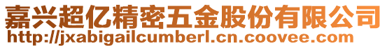 嘉興超億精密五金股份有限公司