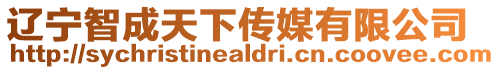 遼寧智成天下傳媒有限公司