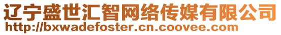 遼寧盛世匯智網(wǎng)絡傳媒有限公司