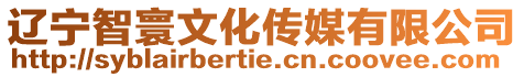 遼寧智寰文化傳媒有限公司