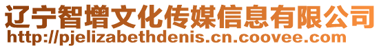 遼寧智增文化傳媒信息有限公司