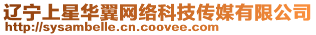 遼寧上星華翼網絡科技傳媒有限公司