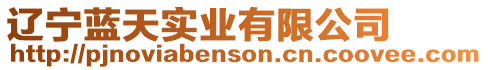 遼寧藍天實業有限公司