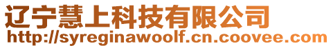 遼寧慧上科技有限公司