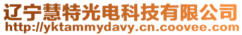 遼寧慧特光電科技有限公司