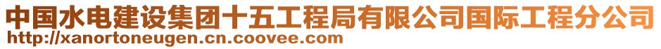 中國(guó)水電建設(shè)集團(tuán)十五工程局有限公司國(guó)際工程分公司