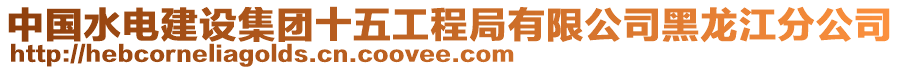 中國水電建設(shè)集團十五工程局有限公司黑龍江分公司