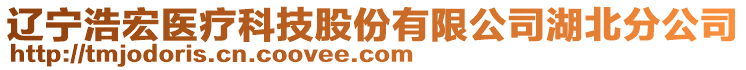 遼寧浩宏醫(yī)療科技股份有限公司湖北分公司