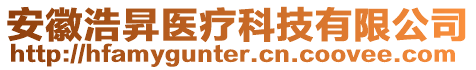 安徽浩昇醫(yī)療科技有限公司