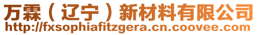 萬霖（遼寧）新材料有限公司