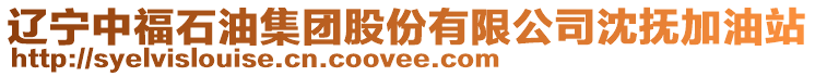遼寧中福石油集團股份有限公司沈撫加油站