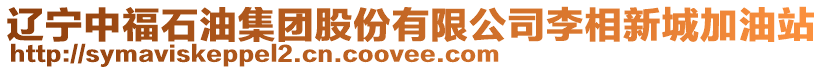 遼寧中福石油集團股份有限公司李相新城加油站