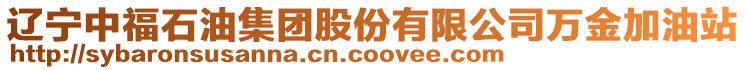 遼寧中福石油集團(tuán)股份有限公司萬金加油站