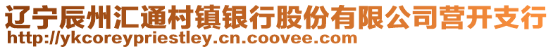 遼寧辰州匯通村鎮(zhèn)銀行股份有限公司營開支行