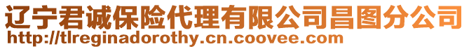 遼寧君誠保險代理有限公司昌圖分公司