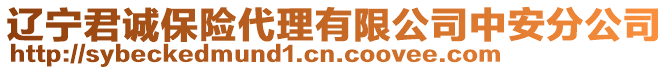遼寧君誠保險代理有限公司中安分公司