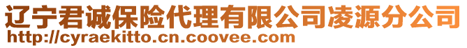 遼寧君誠保險代理有限公司凌源分公司