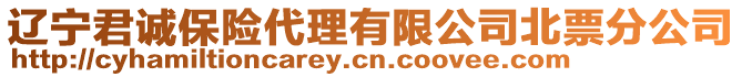 遼寧君誠保險代理有限公司北票分公司