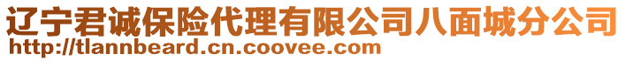 遼寧君誠保險代理有限公司八面城分公司
