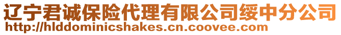 遼寧君誠保險代理有限公司綏中分公司